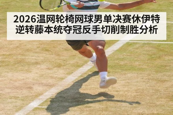 2026温网轮椅网球男单决赛休伊特逆转藤本统夺冠反手切削制胜分析