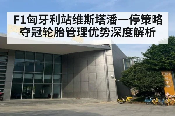 F1匈牙利站维斯塔潘一停策略夺冠轮胎管理优势深度解析